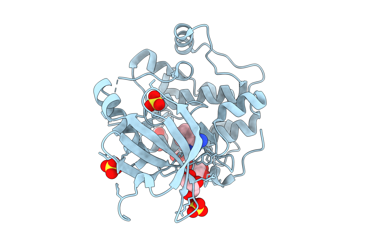 3NUS image