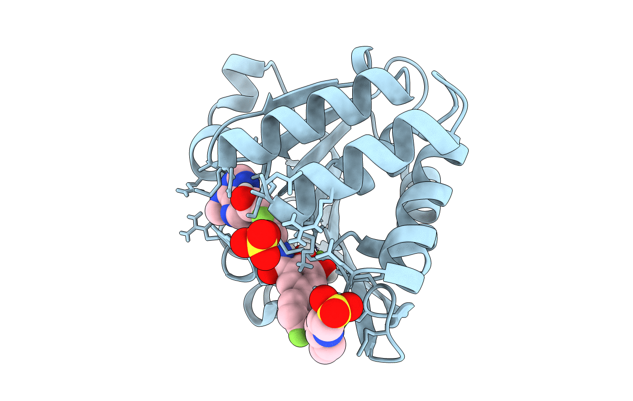 3NWB image