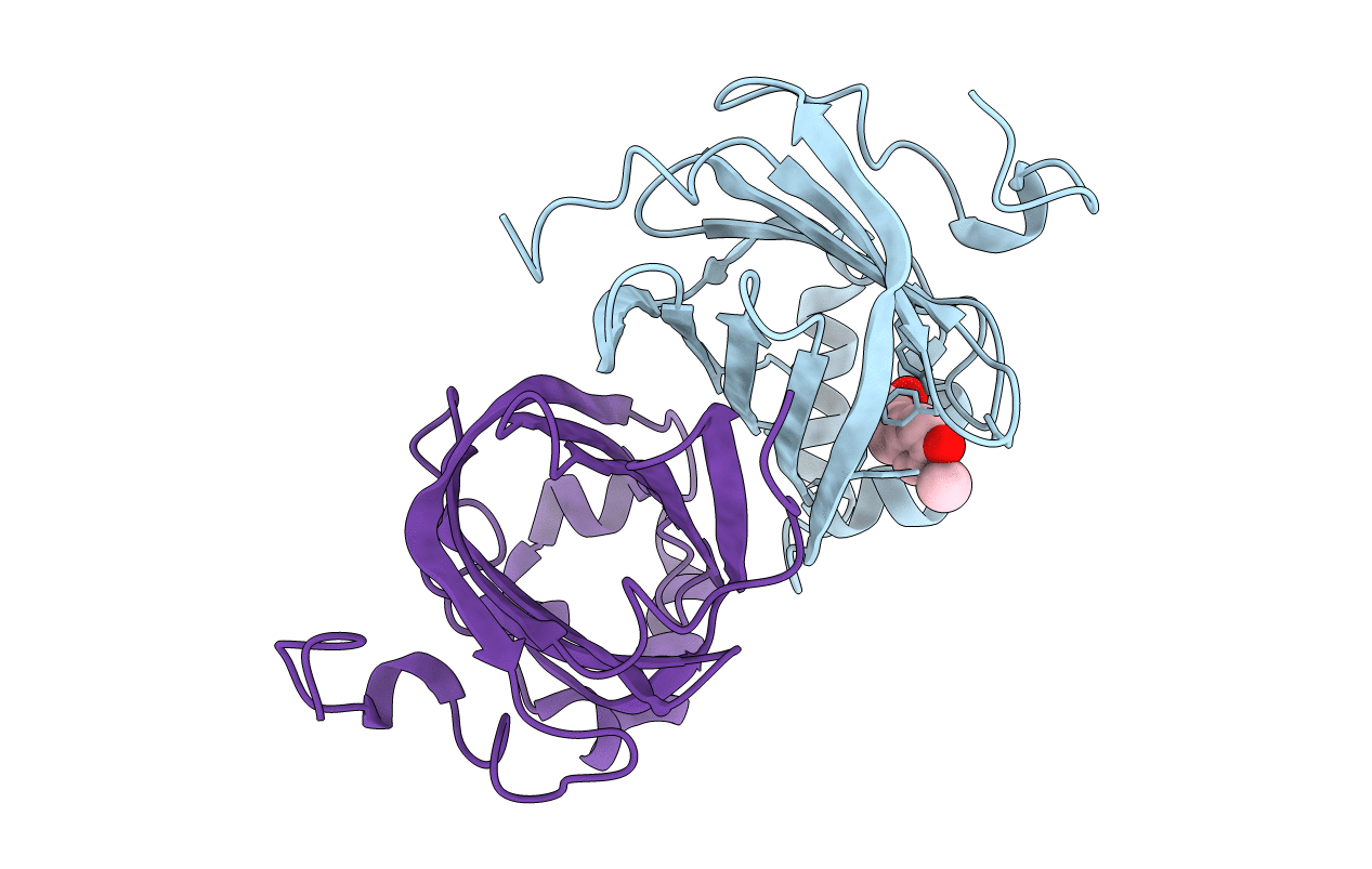 3NX2 image