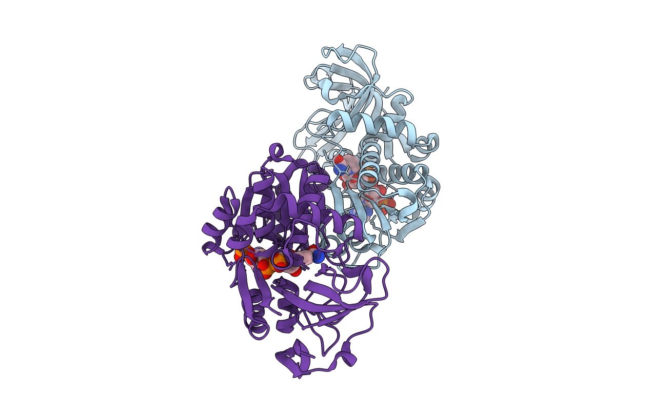 3NX4 image