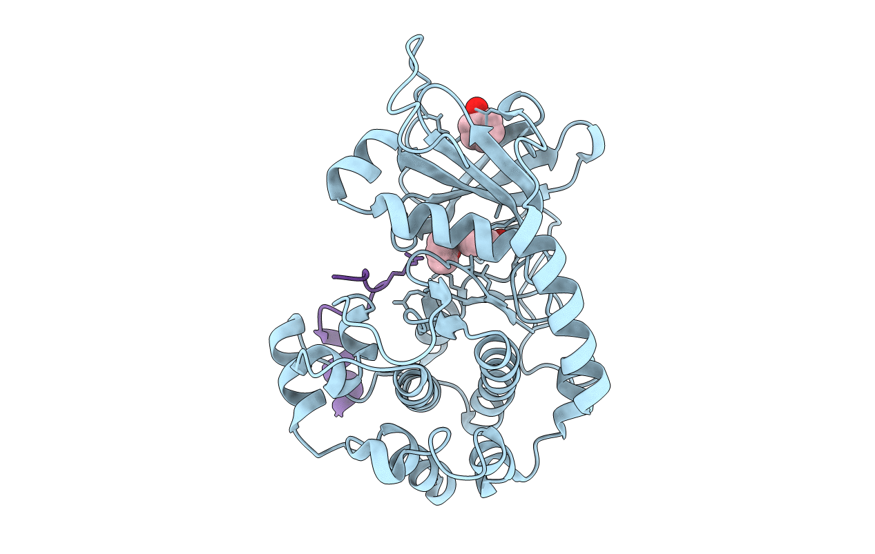 3NX8 image