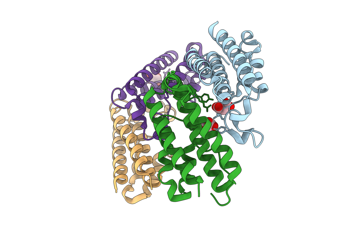 3O10 image
