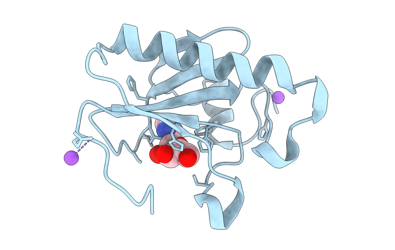 3O1C image