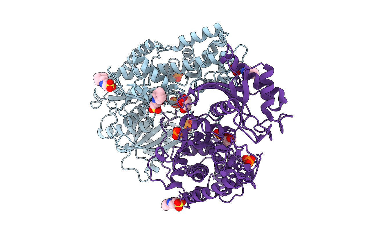 3O1W image