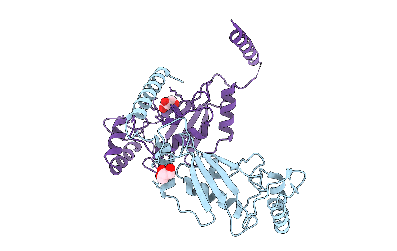 3O2U image