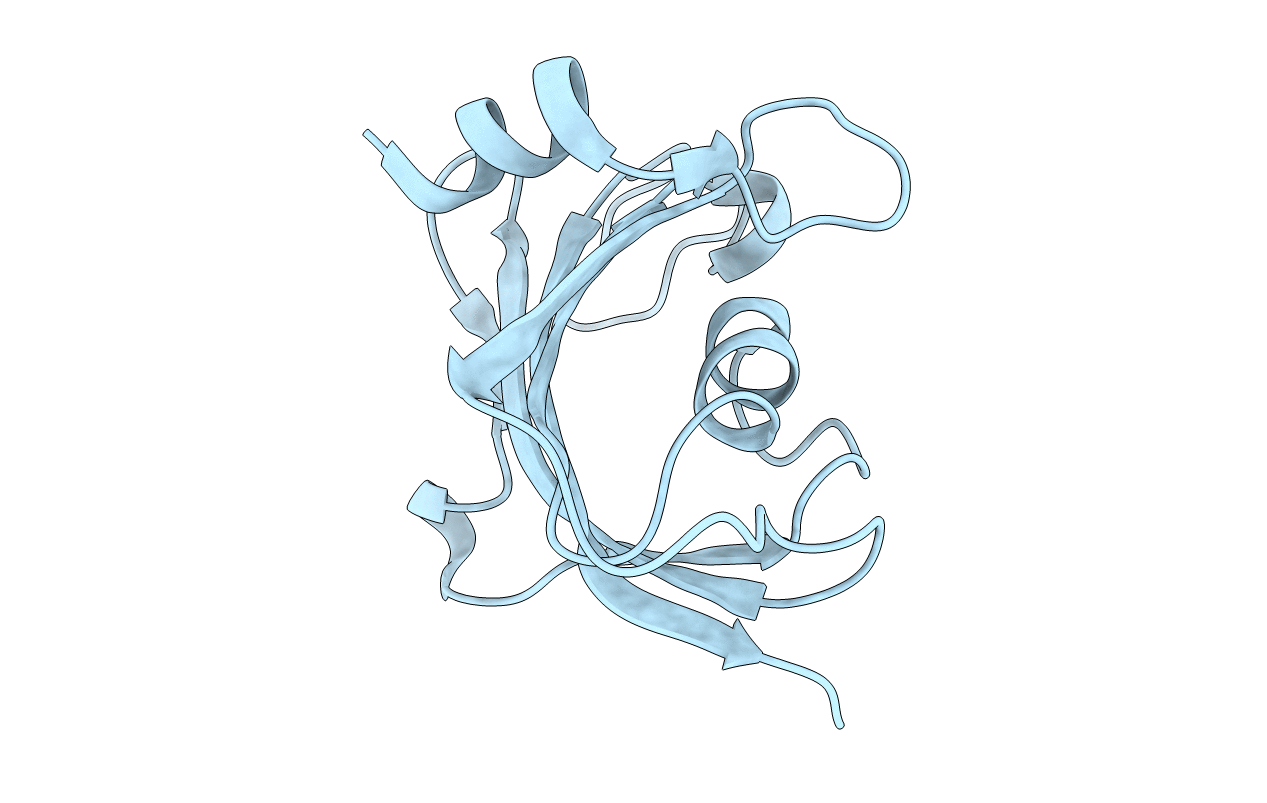 3O5P image
