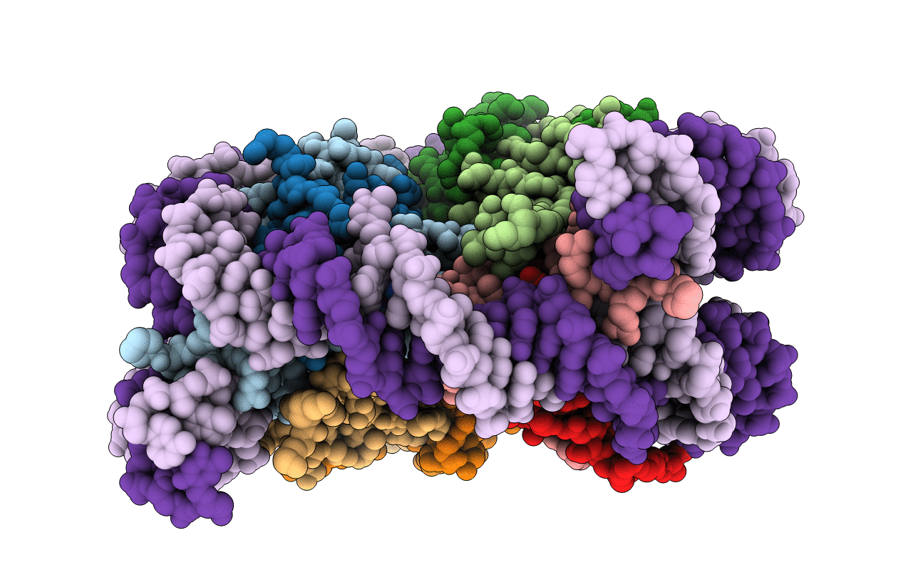 3O62 image