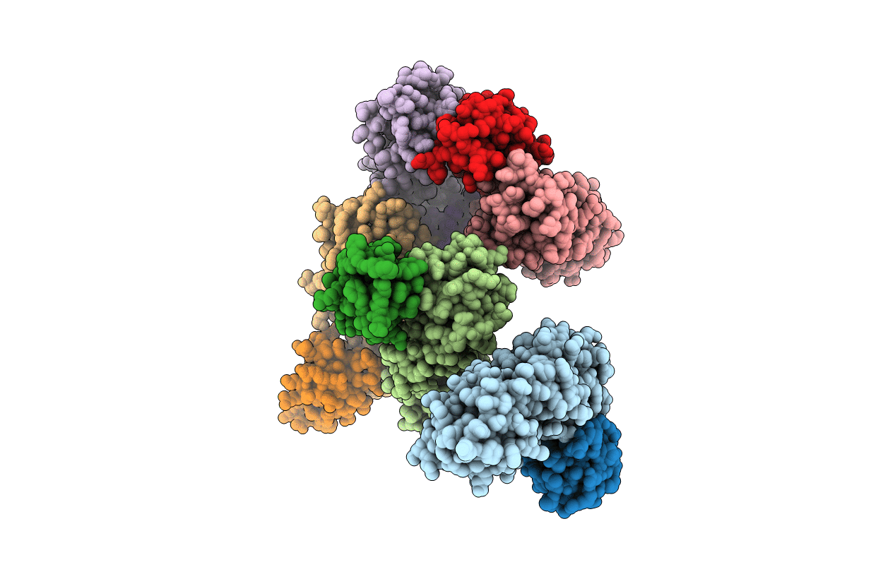 3O6B image