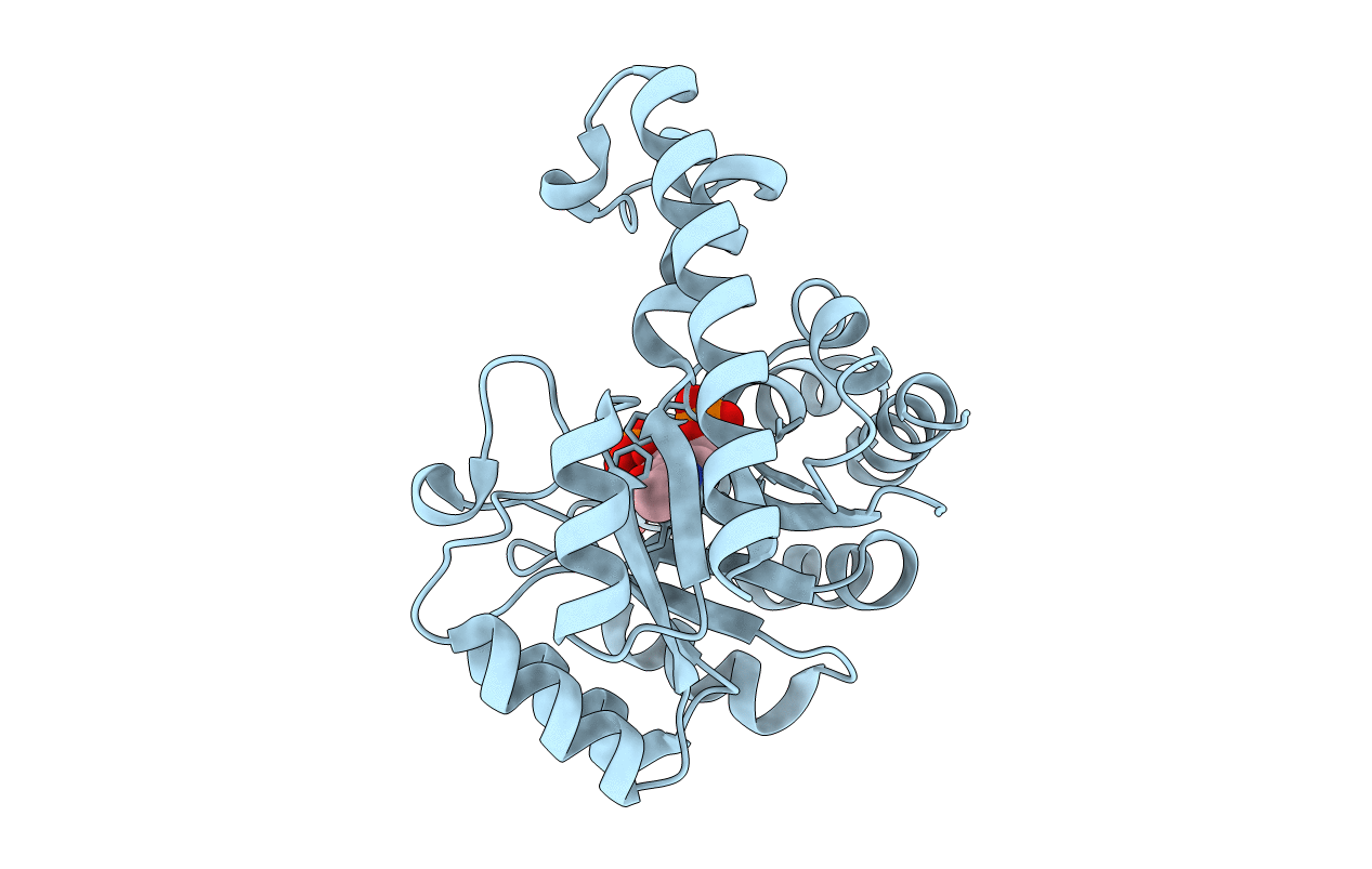 3O6D image