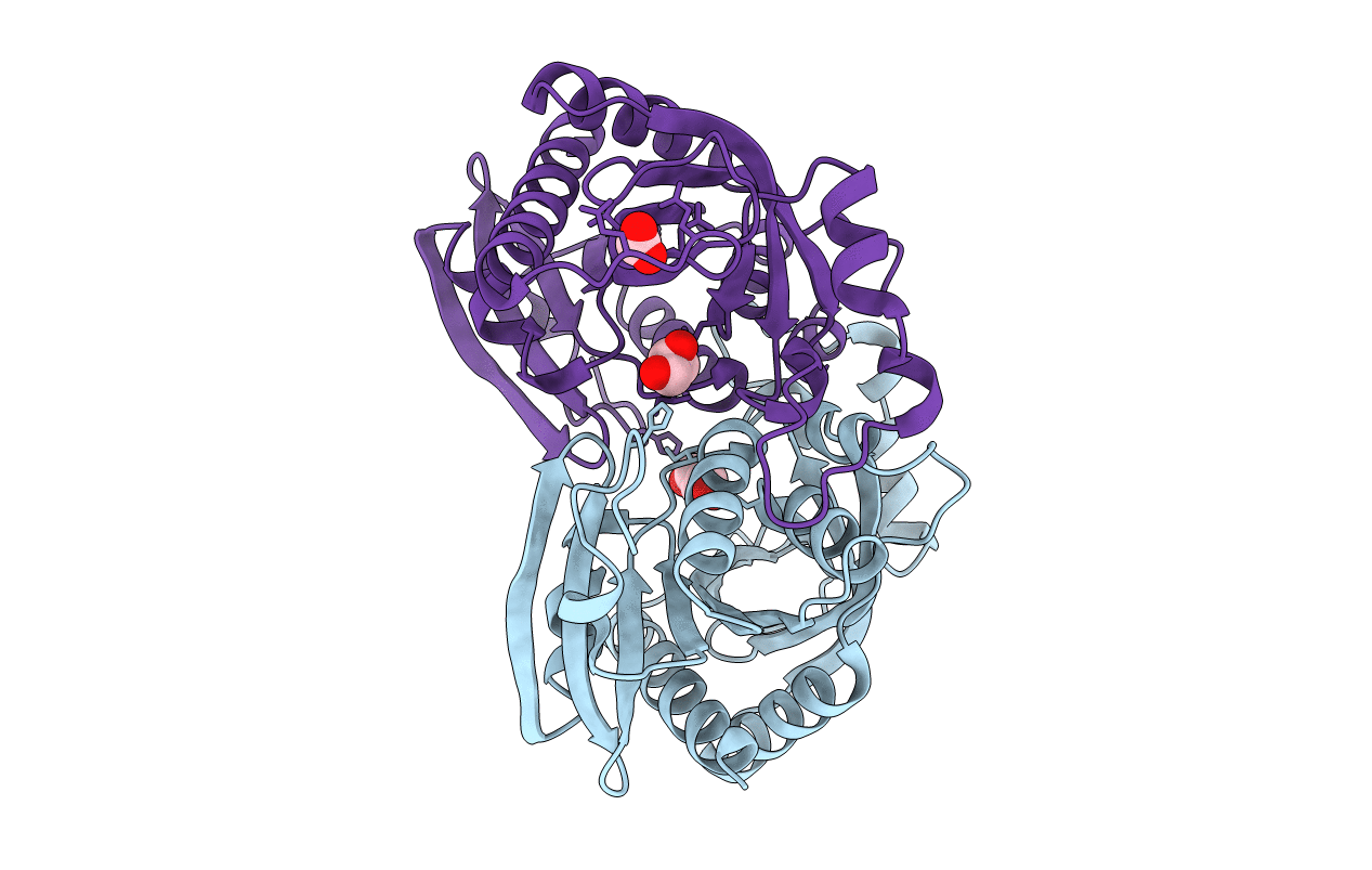 3O6V image