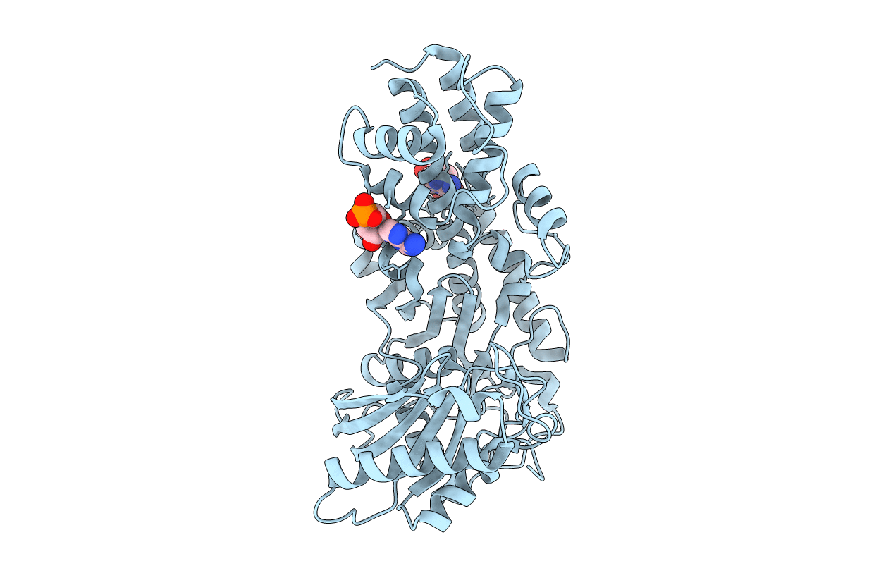 3O80 image