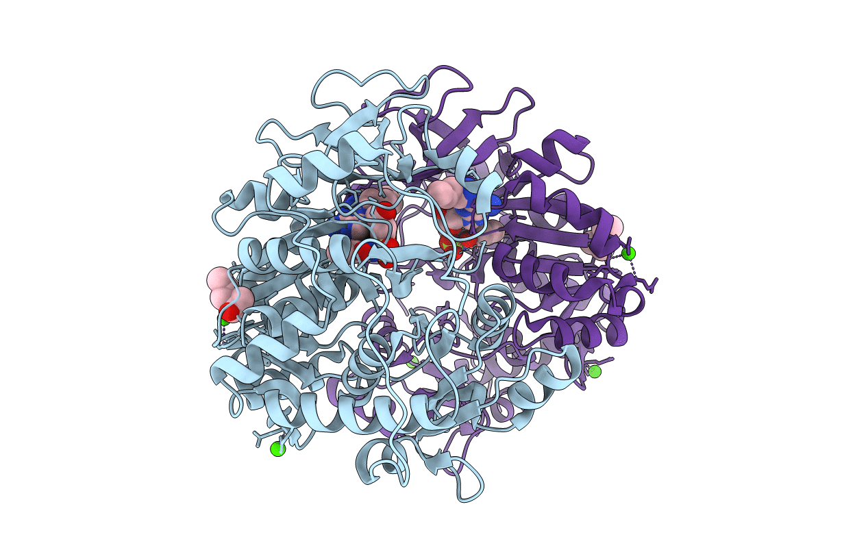 3O83 image
