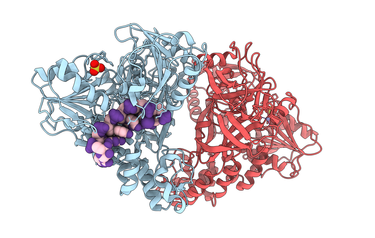 3O8C image