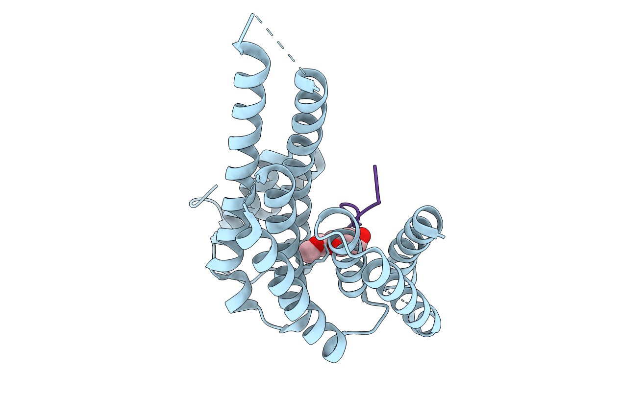 3O8I image