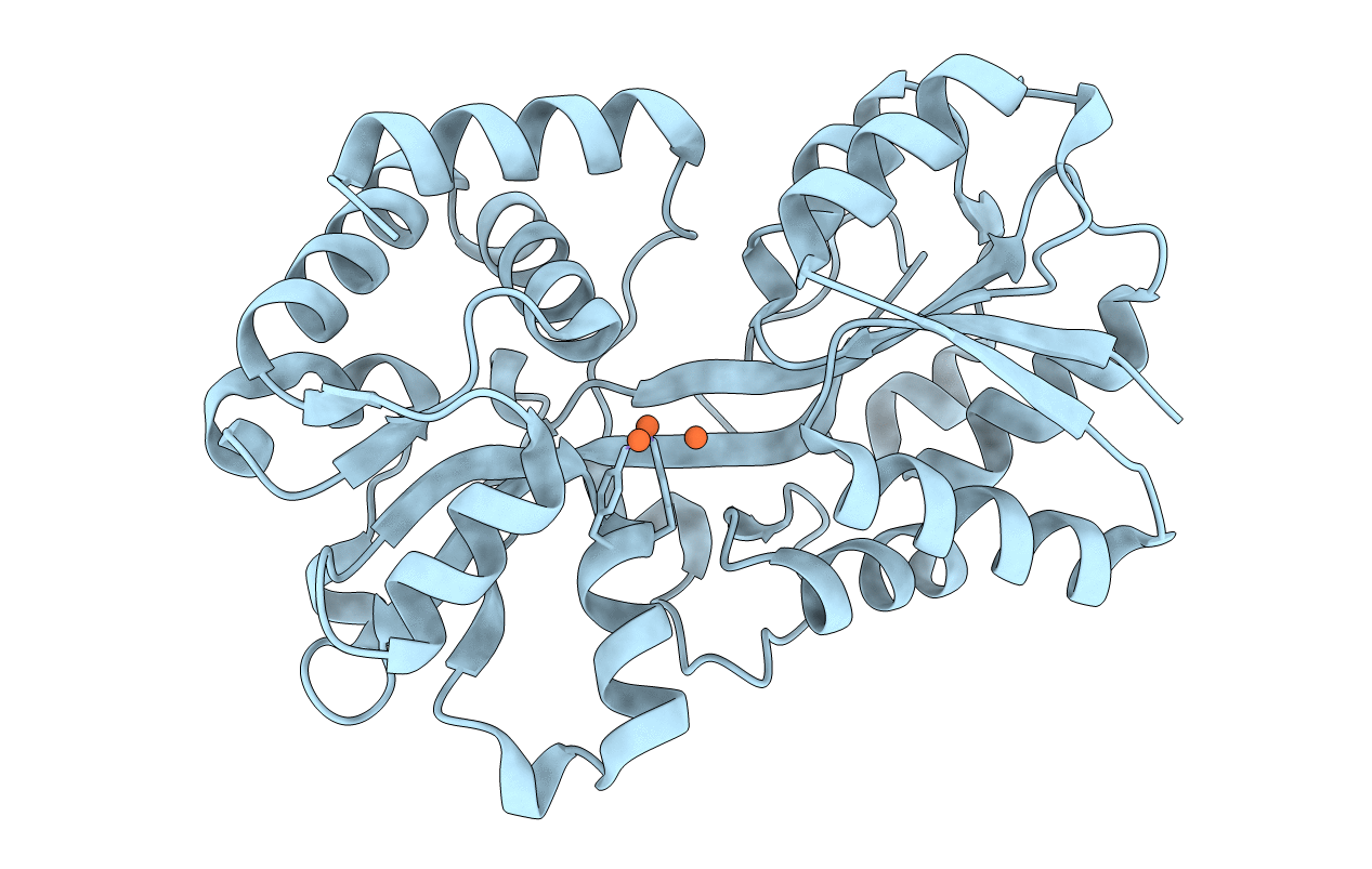3ODB image