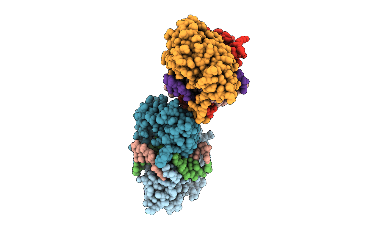3ODH image