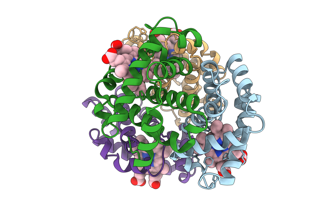 3ODQ image