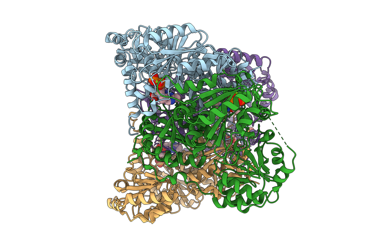 3OE1 image