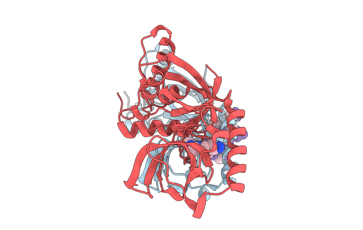 3OMC image