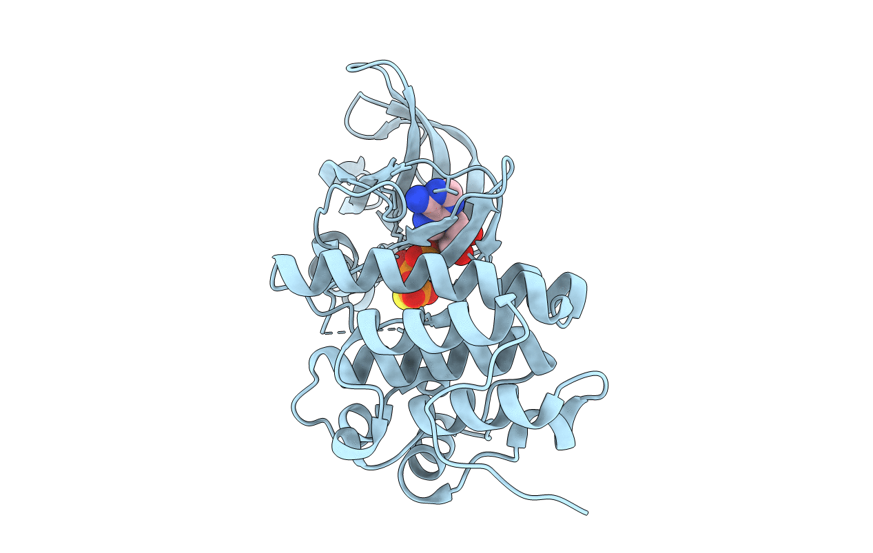 3ORP image