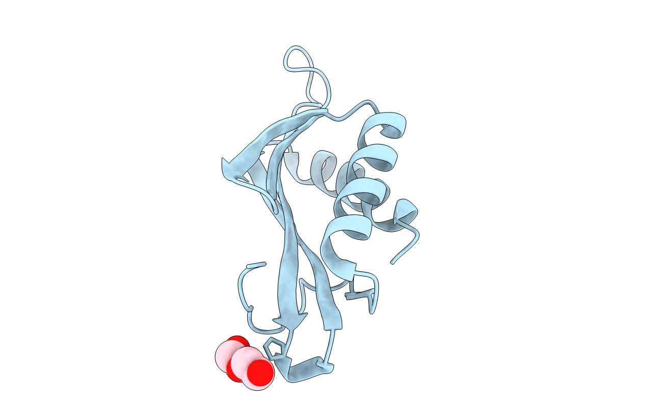 3OSE image