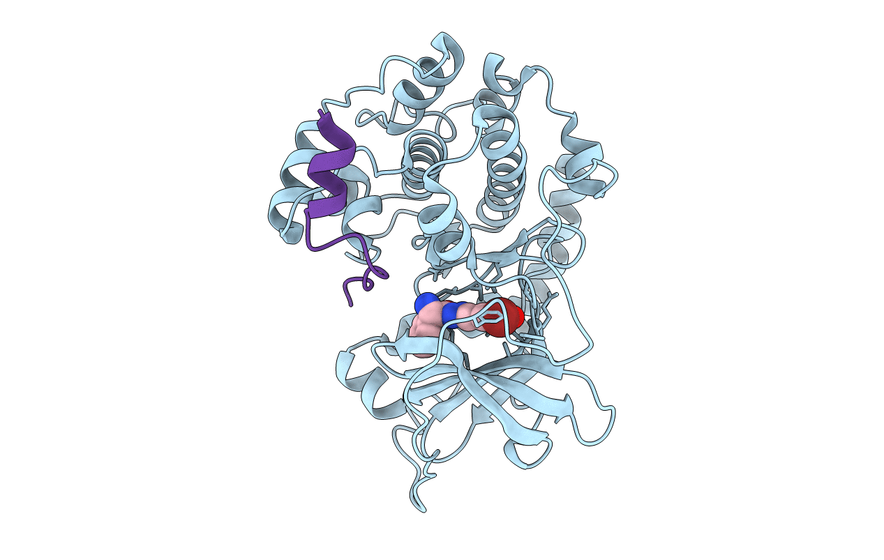 3OWP image