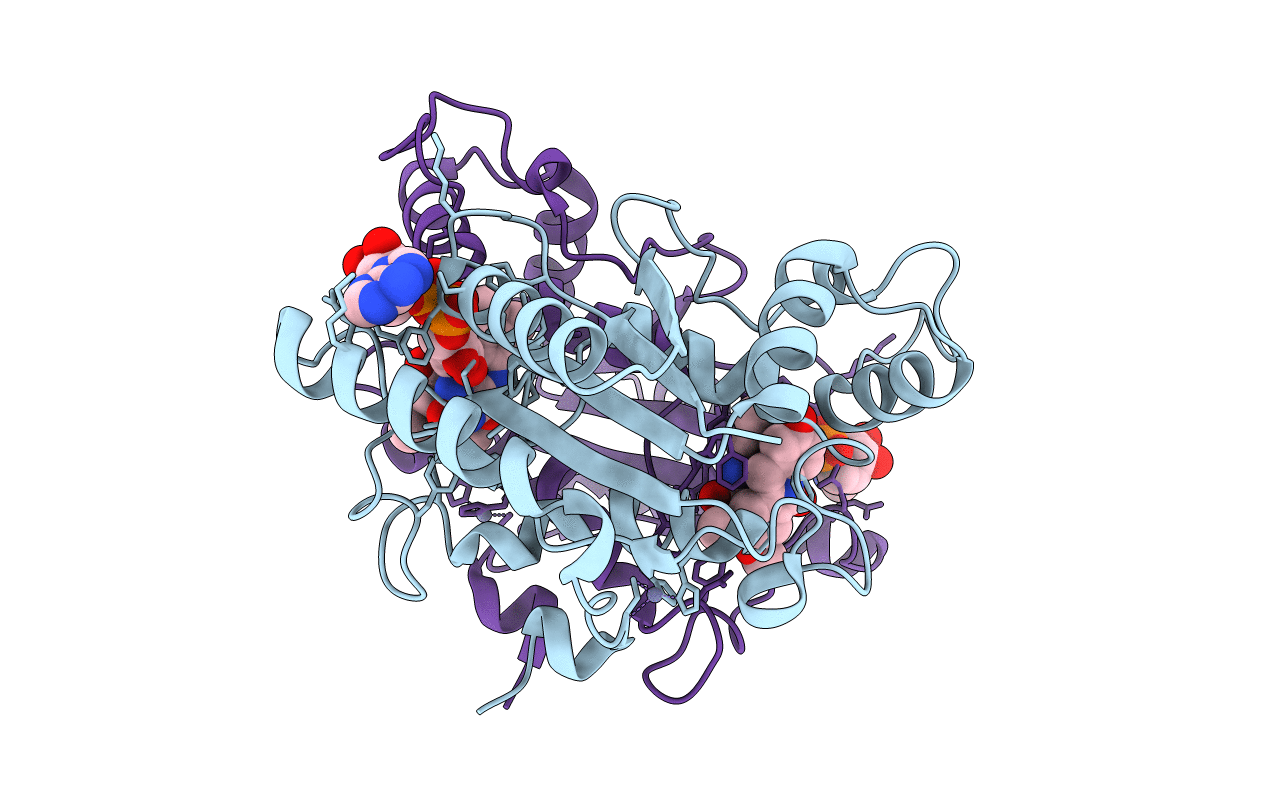 3OX2 image