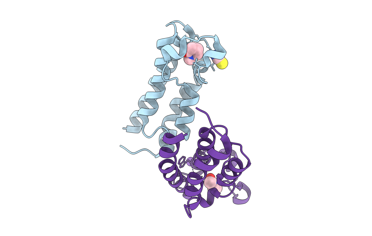 3P1D image