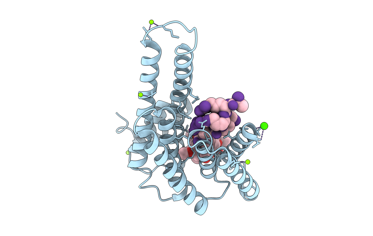 3P1O image