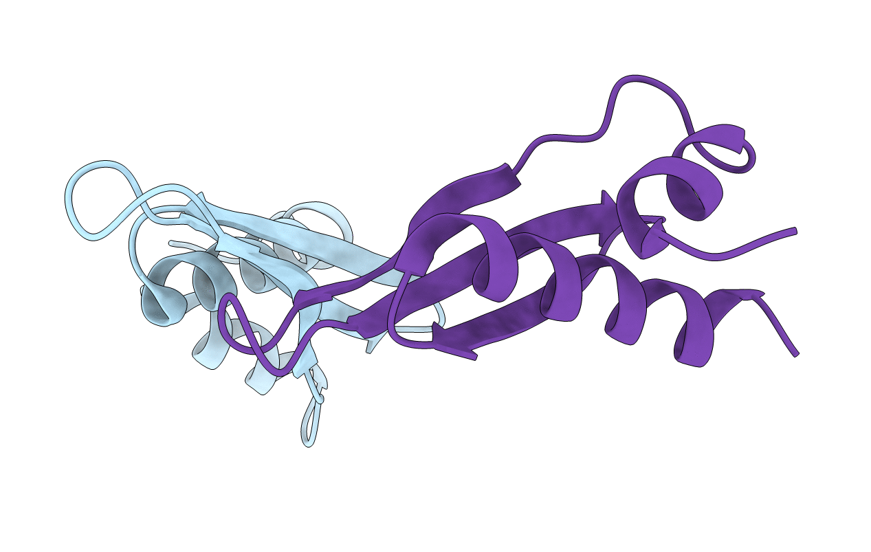 3P1X image