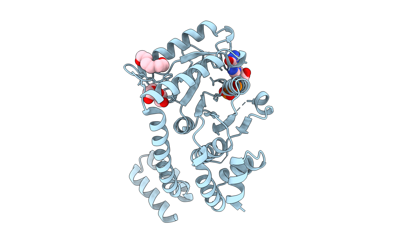 3P32 image