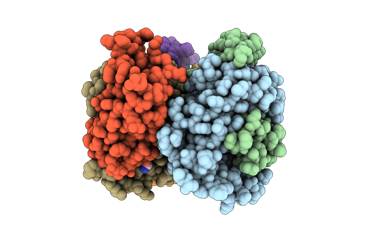 3P3I image