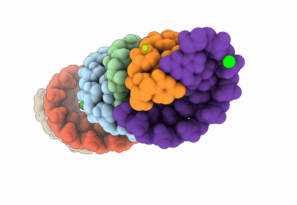 3P4A image