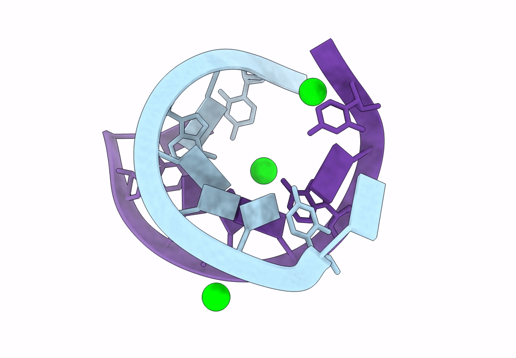 3P4C image