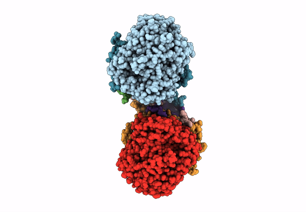 3P4S image