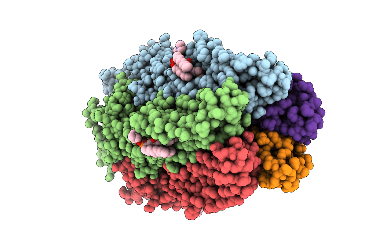 3P50 image