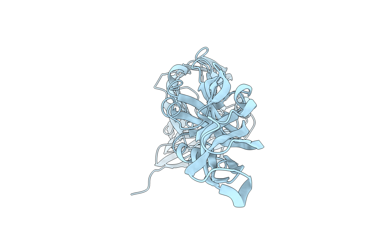 3P54 image