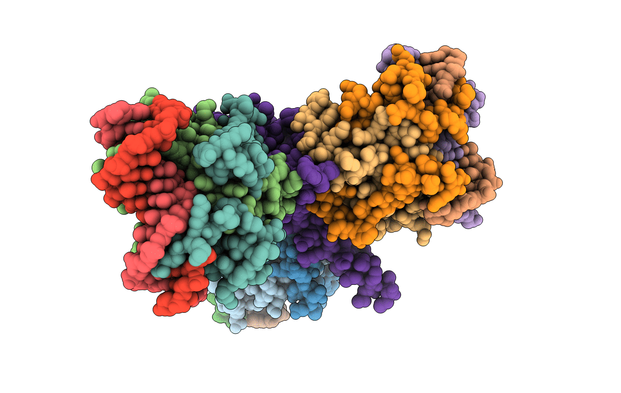 3P57 image