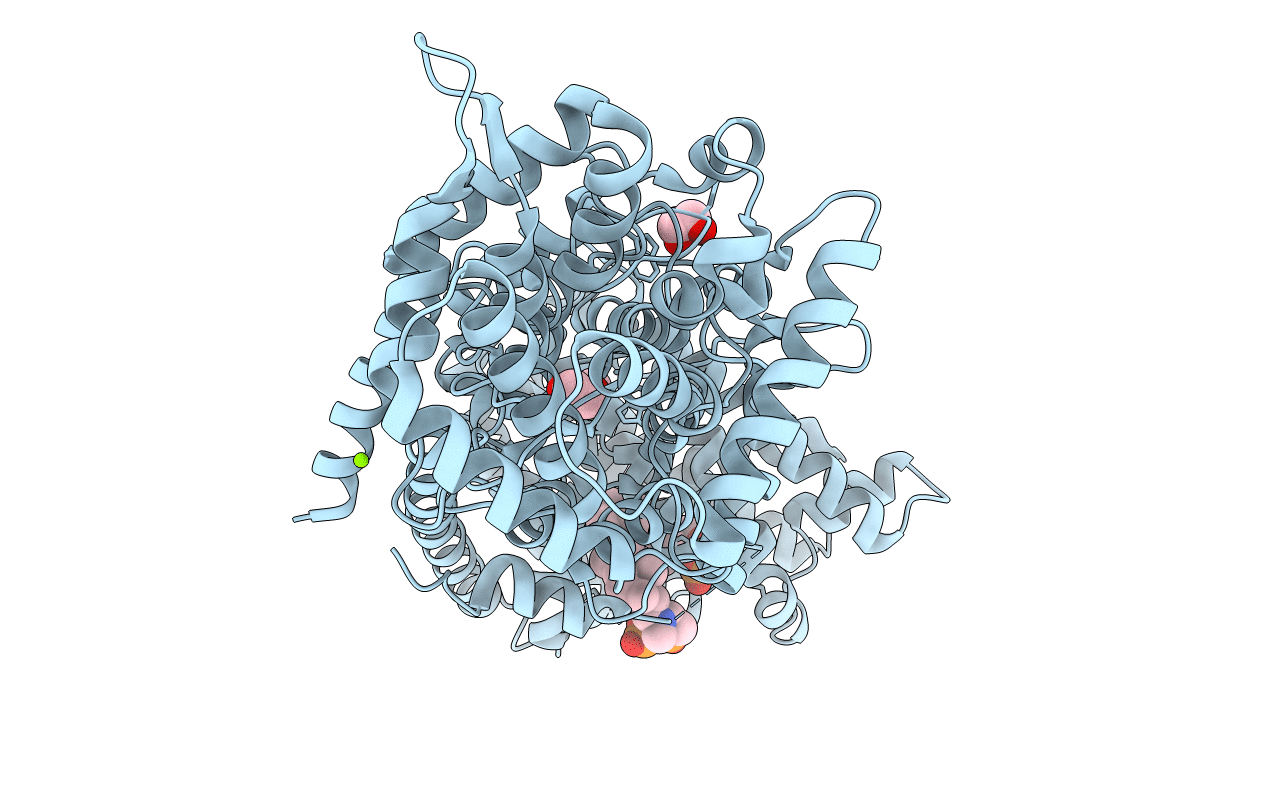 3P5P image