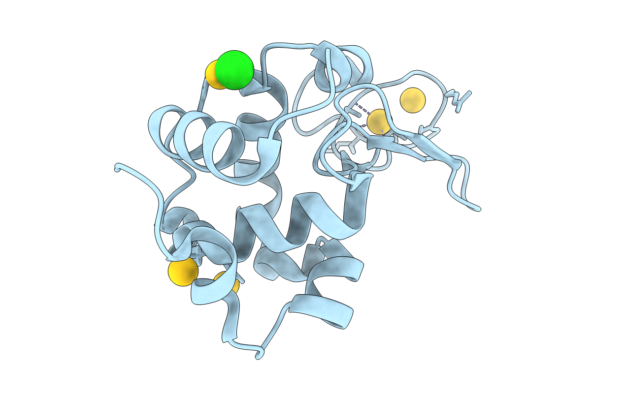 3P65 image