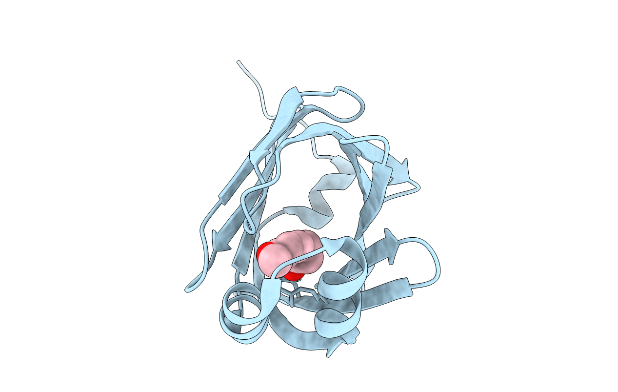 3P6E image
