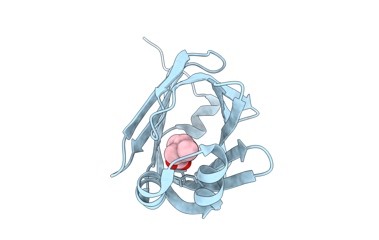 3P6G image