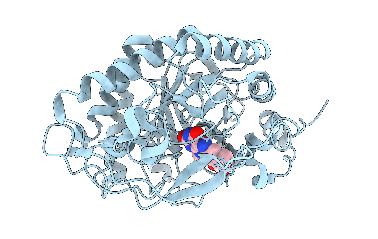 3P74 image