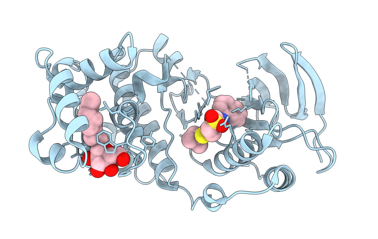3P7A image