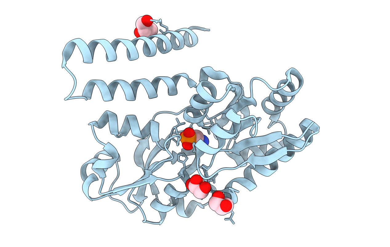 3P7I image