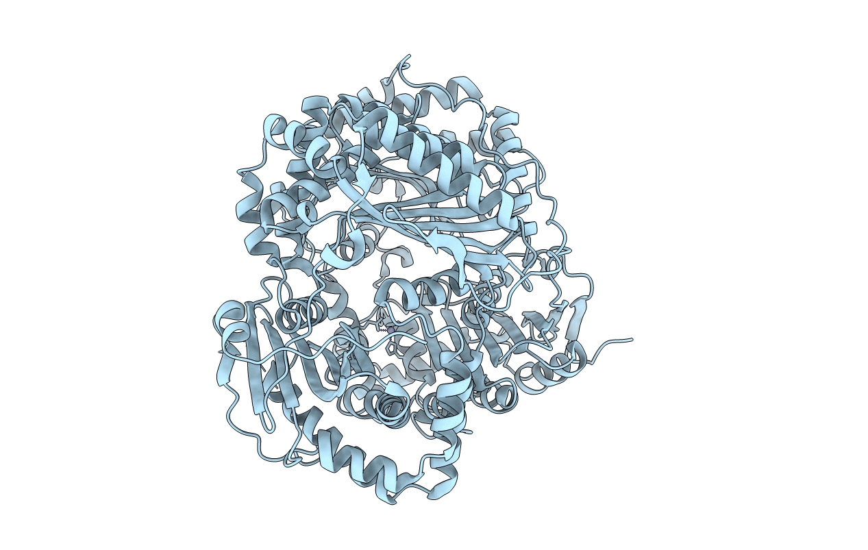 3P7L image