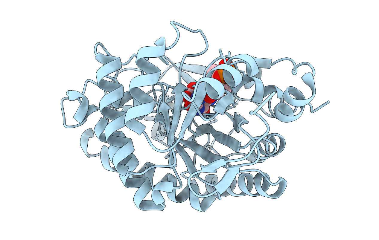 3P84 image