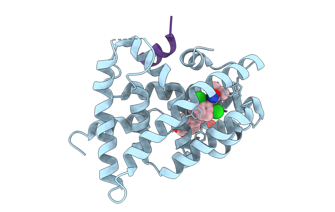 3P89 image
