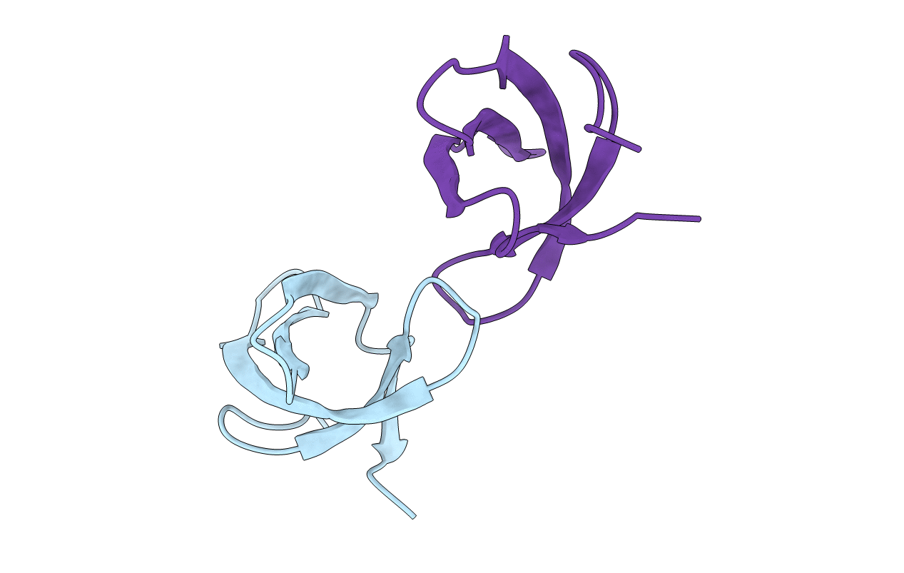3P8D image