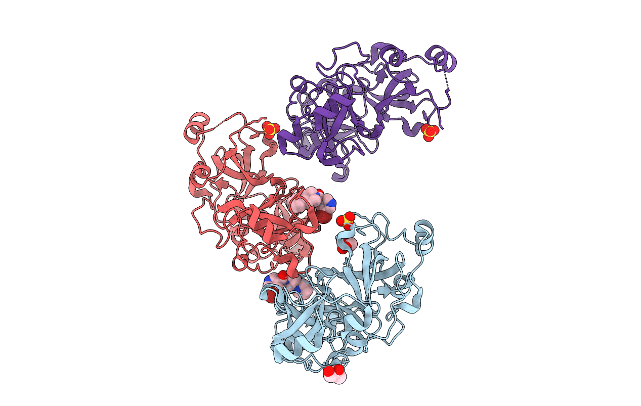 3P8H image